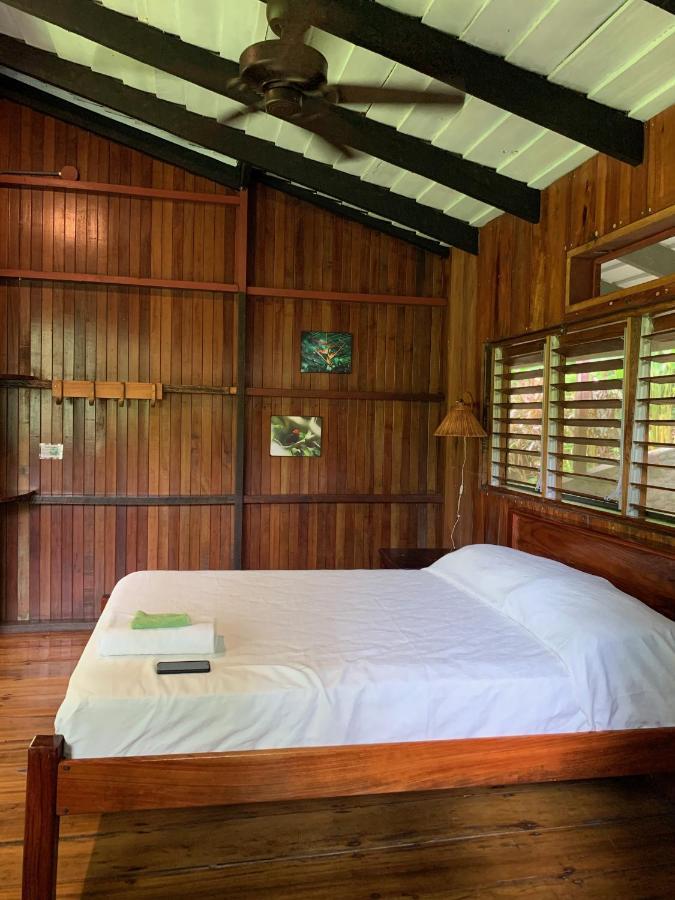 Tiskita Jungle Lodge Pavones  Exterior photo